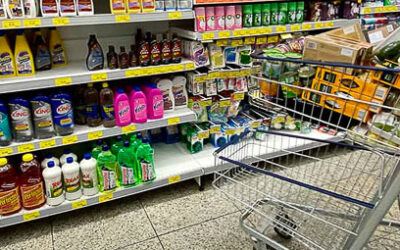 Moeda Social: entenda tudo sobre a economia do futuro