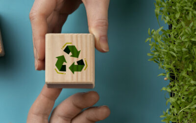 Economia Sustentável: o futuro de quem se importa com o presente!